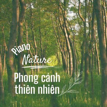 Piano Nature Phong Cảnh Thiên Nhiên Vol.01