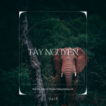 Tây Nguyên - Hoà Tấu Dân Ca Truyền Thống Không Lời Vol. 01