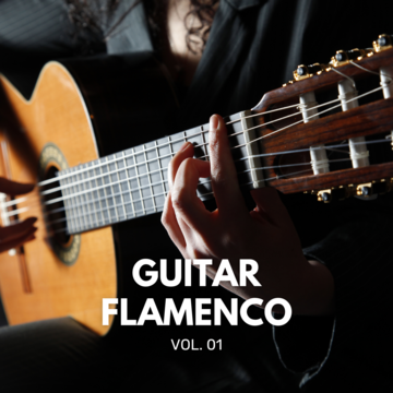 Guitar Flamenco Vol 01