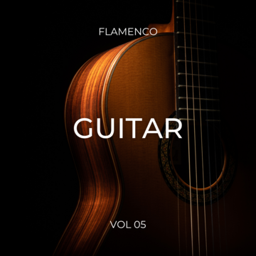 Guitar Flamenco Vol 05