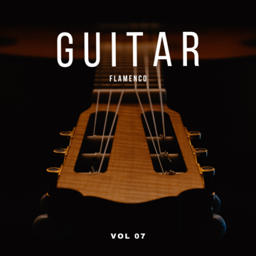Guitar Flamenco Vol 07