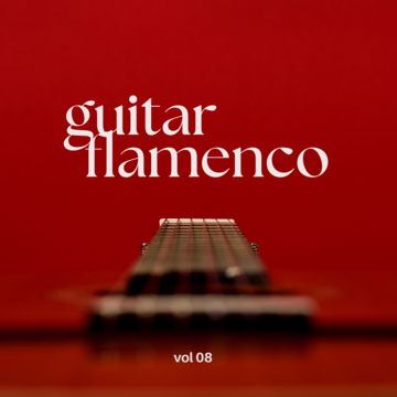 Guitar Flamenco Vol 08